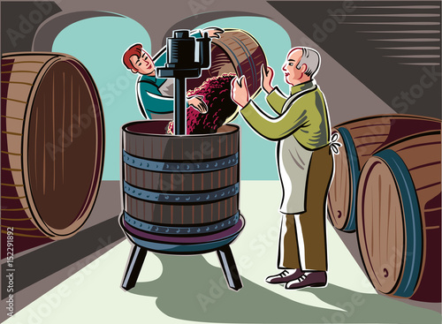 Cellar with big barrels, a young man pays of ripe grapes, freshly picked, in a press for crushing.
