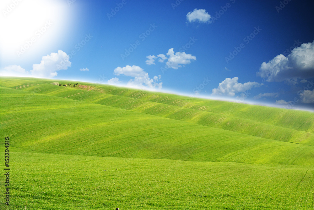 Green grass field with blue sky on a summer day as wallpaper