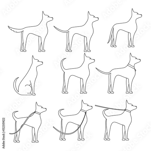 A dog sideways in full growth sketch in different poses