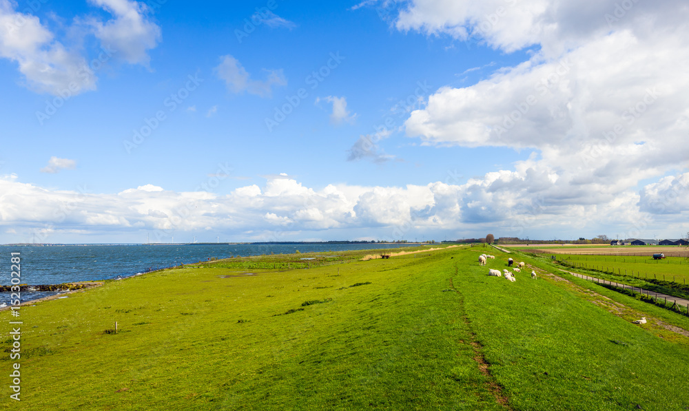 Overview of an embankment with grazing next to a Dutch estuary