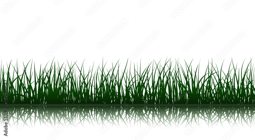Naklejka Sylwetki zielona trawa z refleksji na białym tle, ilustracji wektorowych bez szwu.
