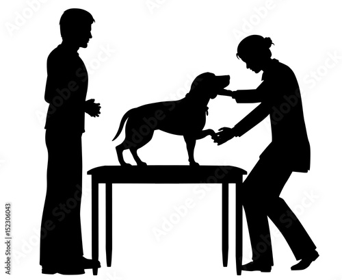 Female vet with dog