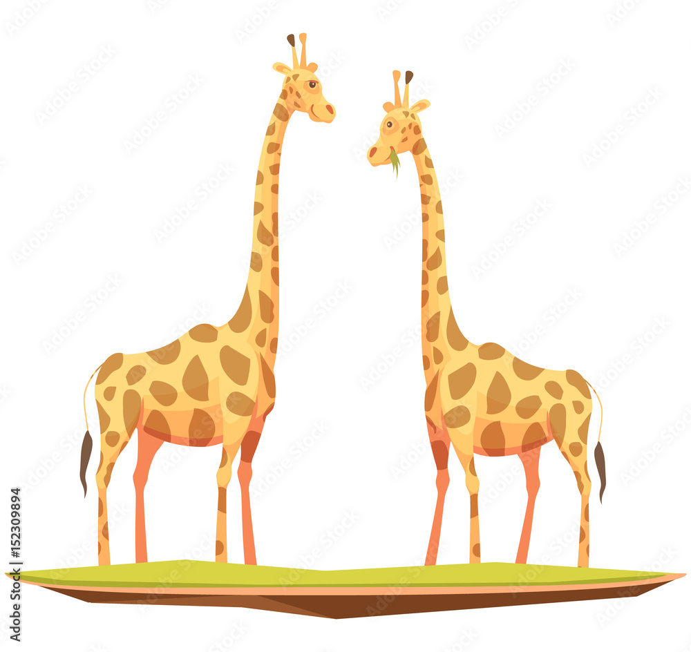 Obraz premium Giraffes Couple Animals Composition