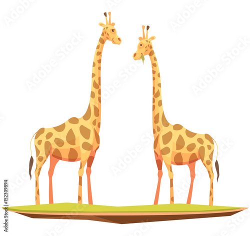 Fototapeta Naklejka Na Ścianę i Meble -  Giraffes Couple Animals Composition