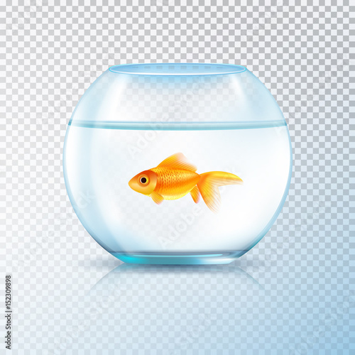 Golden Fish Bowl Realistic Transparent 