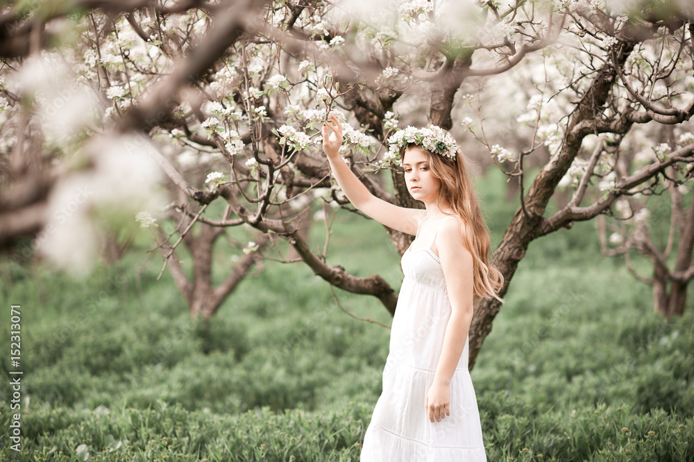 Beautiful blonde teenage girl 14-16 year old with long hair posing in apple orchard. Springtime. Beautiful blonde teenage girl 14-16 year old with long hair posing in apple orchard. Springtime.