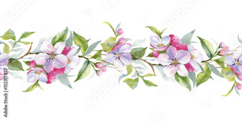 Hand drawn watercolor borders with the apple branch. Watercolor apple blooming branch. Floral frame template
