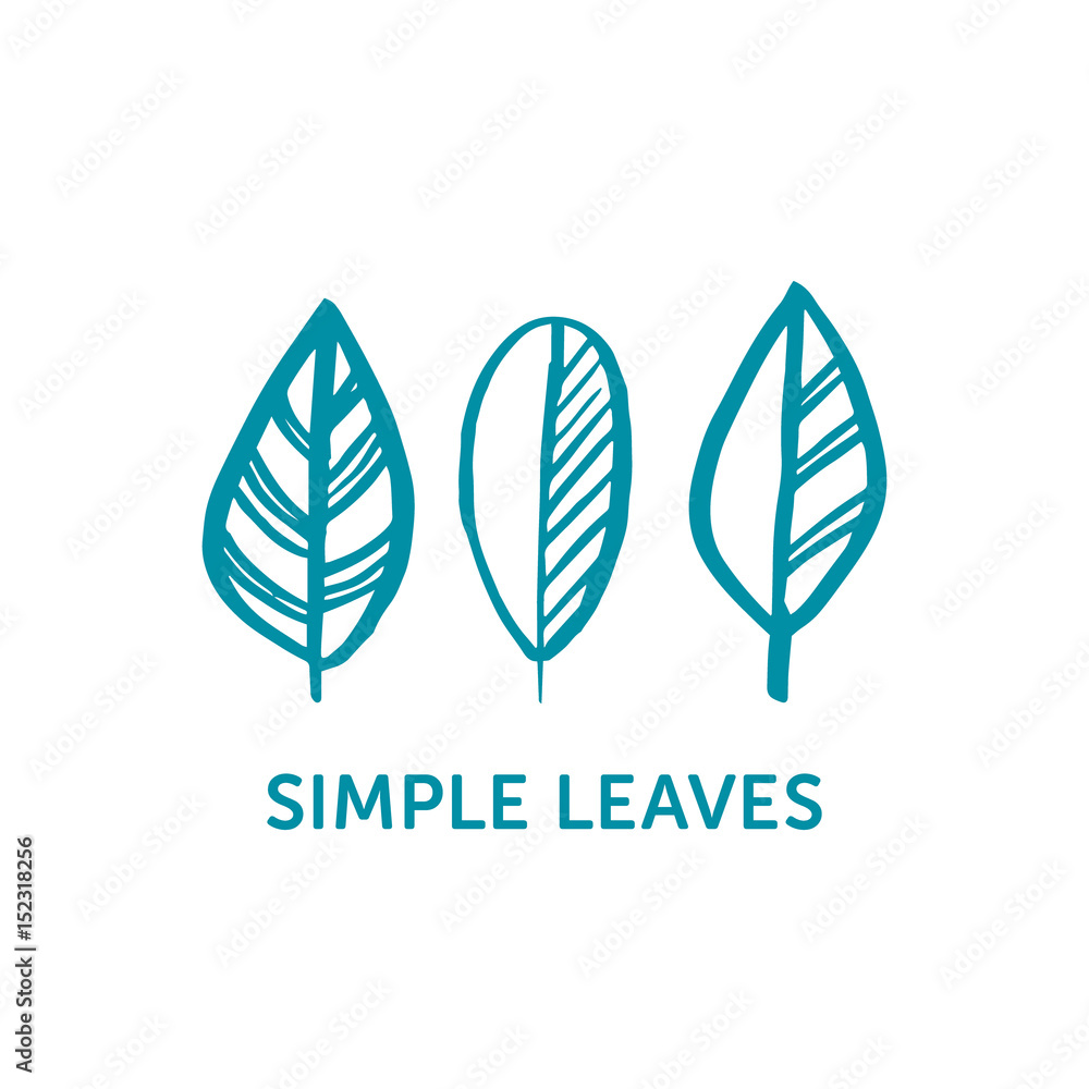 Simple hand drawn set of leaves in scandinavian style