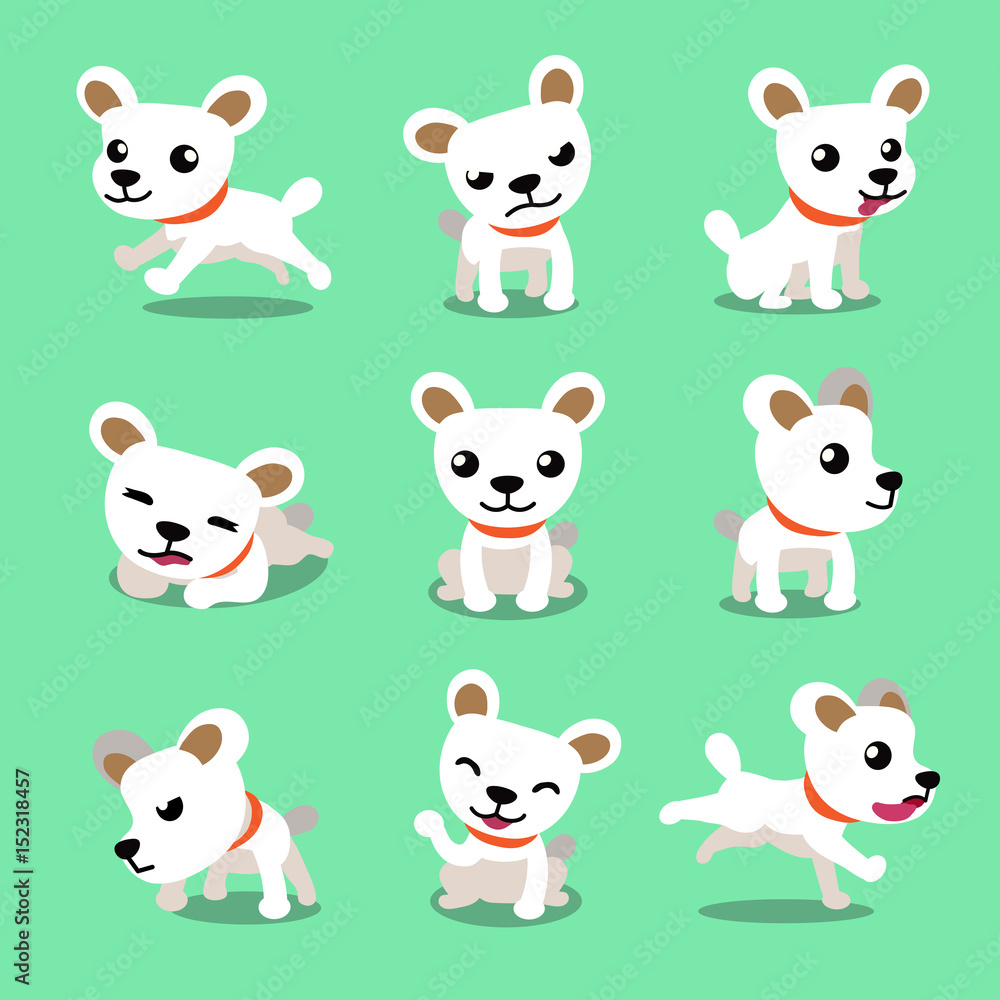Fototapeta premium Cartoon character cute white dog poses