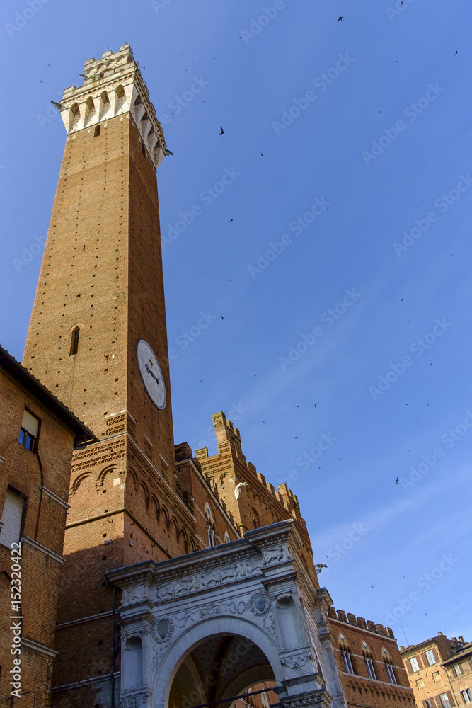 Fototapeta premium Piazza del Campo in Siena