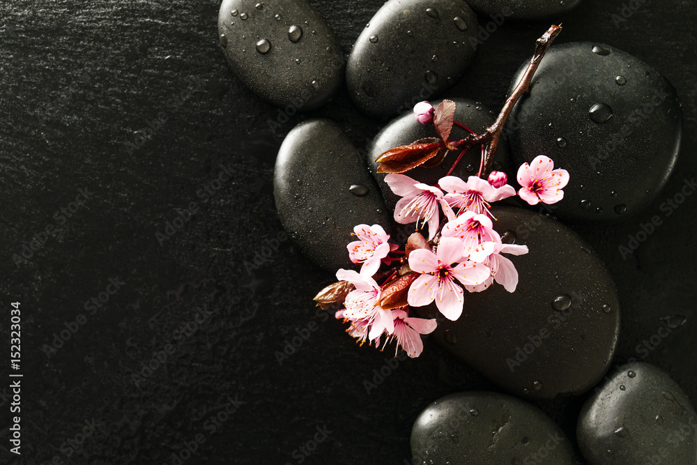 Gewoon overlopen morgen Versnipperd Beautiful pink Spa Flowers on Spa Hot Stones on Water Wet Background. Side  Composition. Copy Space. Spa Concept. Dark Background. Stock Photo | Adobe  Stock