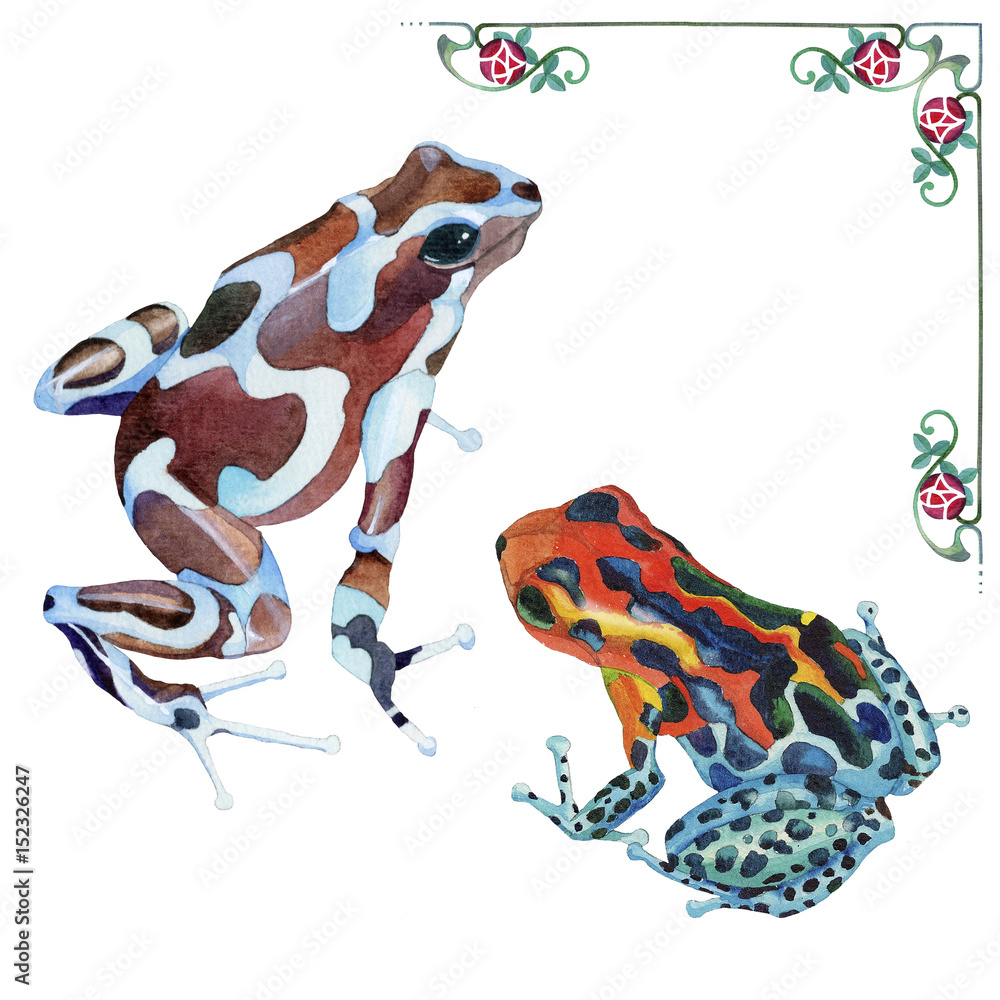 Fototapeta premium Frog watercolor