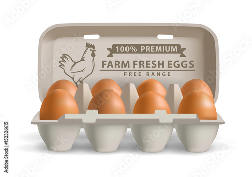 vector illustration eggs