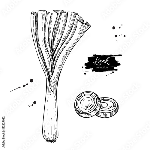 Leek hand drawn vector illustration set. Isolated Vegetable engraved style object with sliced pieces.
