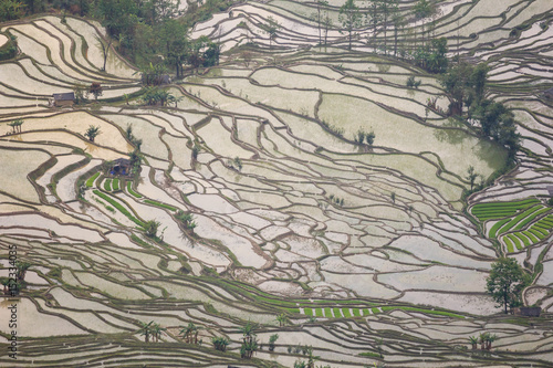 Close up on terraced fields in Yuanyang UNESCO Heritage in China