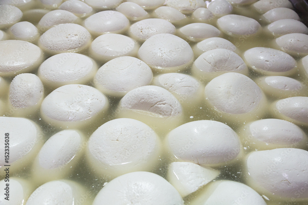 Making homemade mozzarella cheese, cheese ripens in brine Making homemade mozzarella cheese, cheese ripens in brine