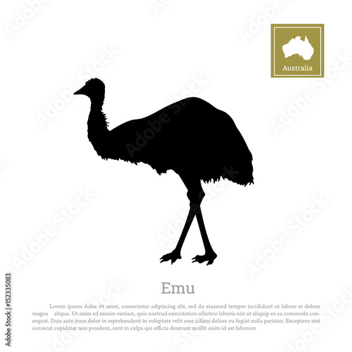 Black silhouette of ostrich emu on white background. Animal of Australia. Vector illustration