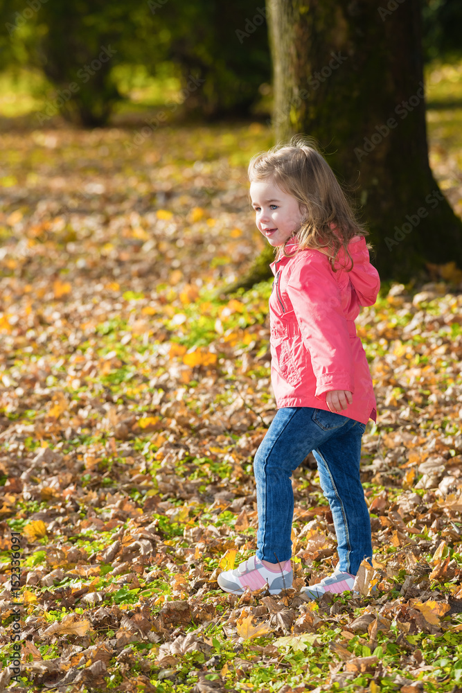 Little girl walking through the autumn park.Motion blur Little girl walking through the autumn park.Motion blur