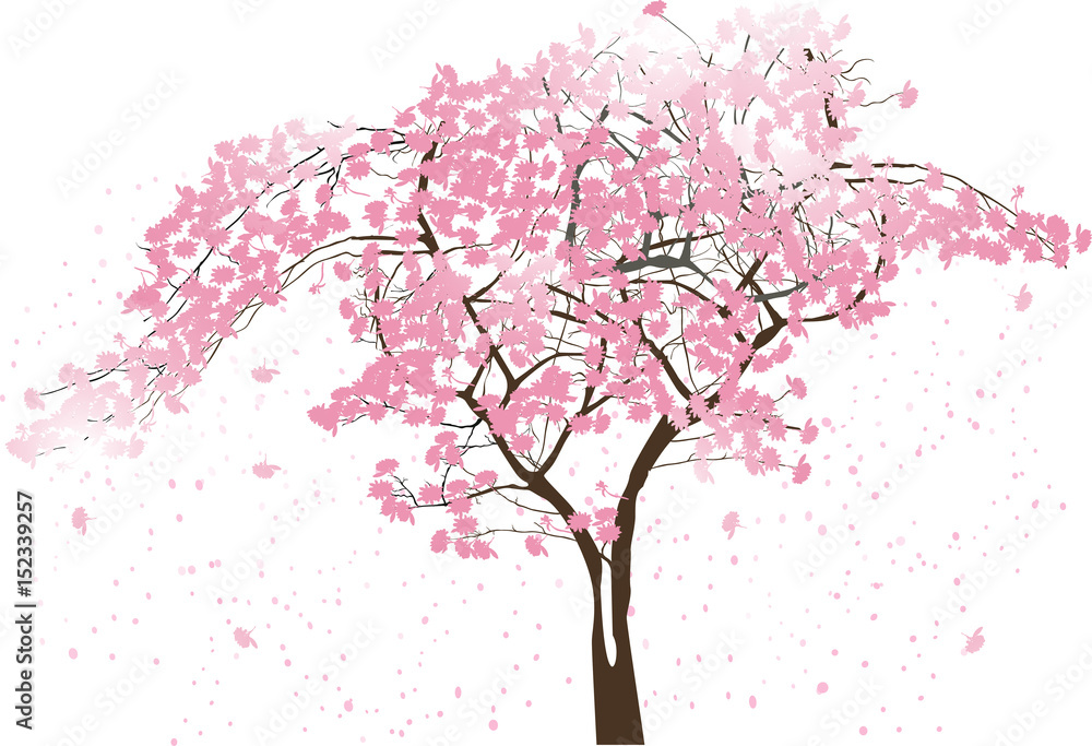 Fototapeta premium spring abstract tree with large pink blooms on white