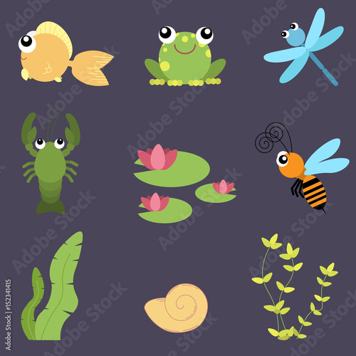 Flat design cute animals set. River life: fish, frog, dragonfly, crayfish, bee, water lily, shells and seaweeds.