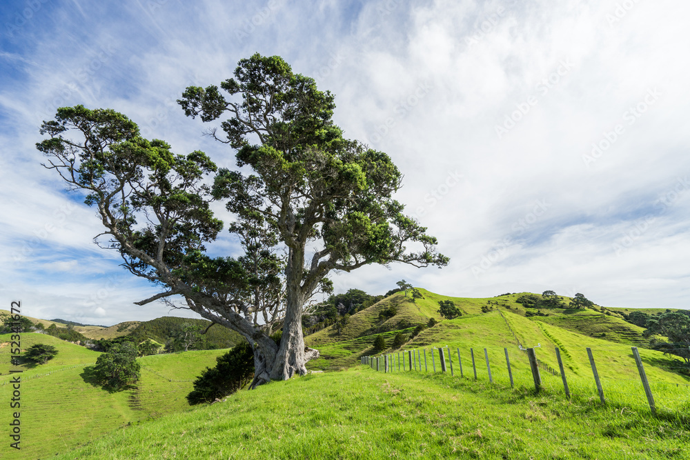 Helena Bay - New Zealand Helena Bay - New Zealand