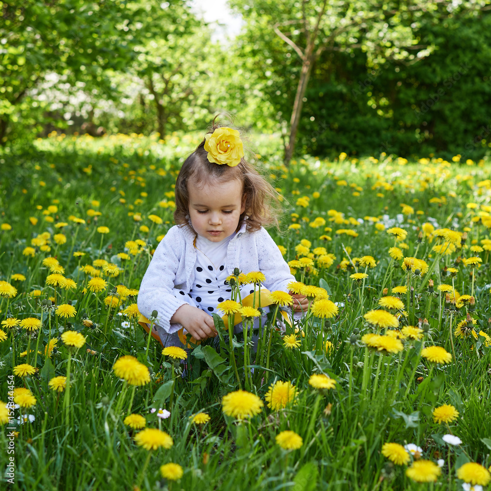 Little girl meadow gather yellow dandelion Little girl meadow gather yellow dandelion