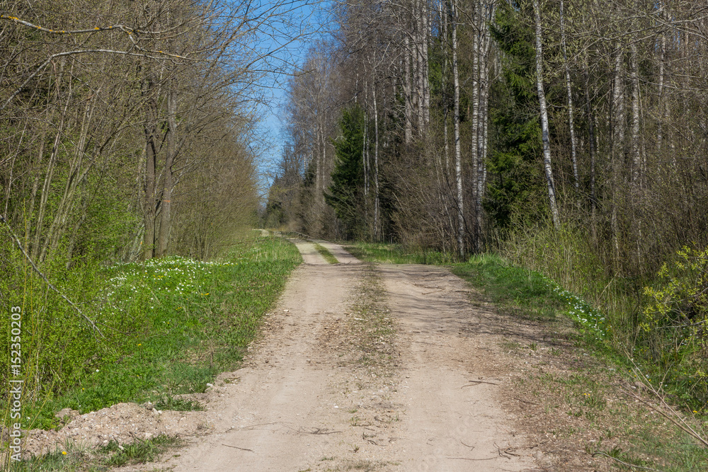Dirt road through forest and field.
