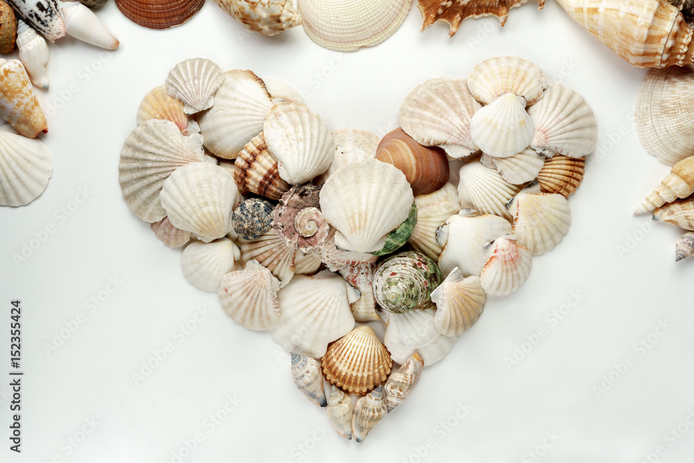 heart shaped seashells