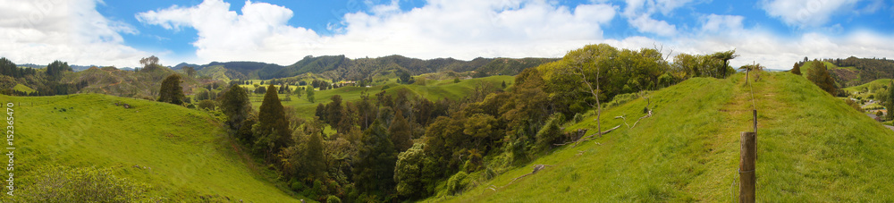 Hügelige Wiesenlandschaft auf der Nordinsel von Neuseeland