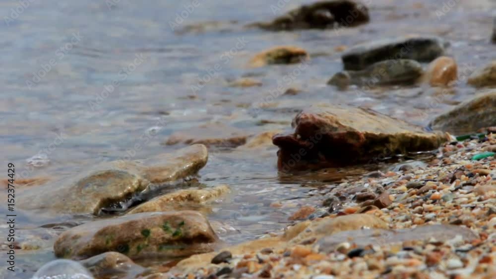 Fresh wavy water envelops stones on the shore Fresh wavy water envelops stones on the shore