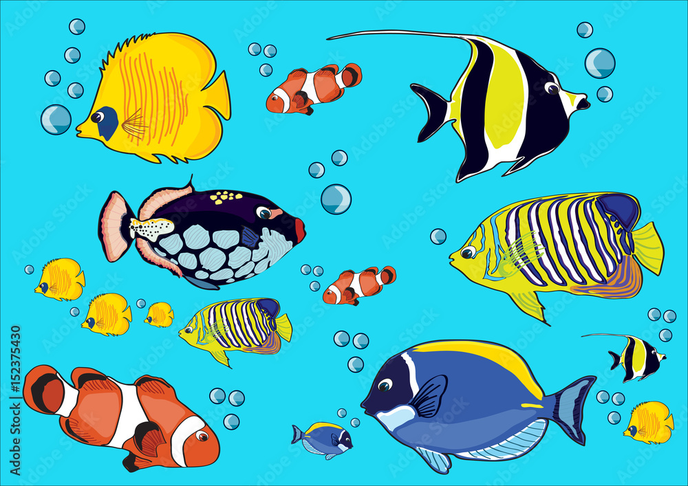 Fototapeta premium drawing fishes, illustration, fish crown, yellow fish, blue fish, red fish