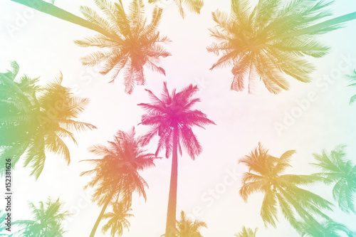 Silhouette palm tree with colorful filter for summer background.