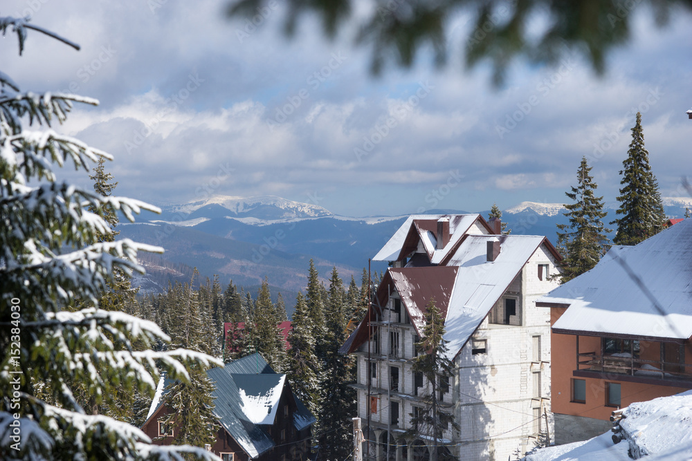 Winter mountains near cottages between snow-covered fir-trees, focus on branch of a tree