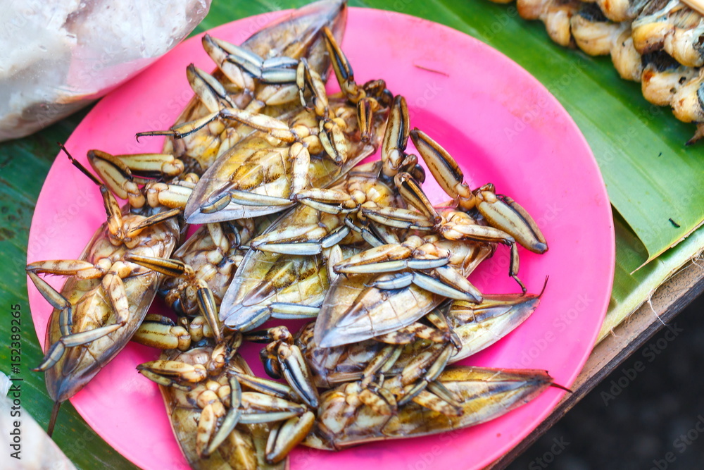 Pimp, insects ,insects for food pimp freshwater in the market,Thailand. Pimp, insects ,insects for food pimp freshwater in the market,Thailand.