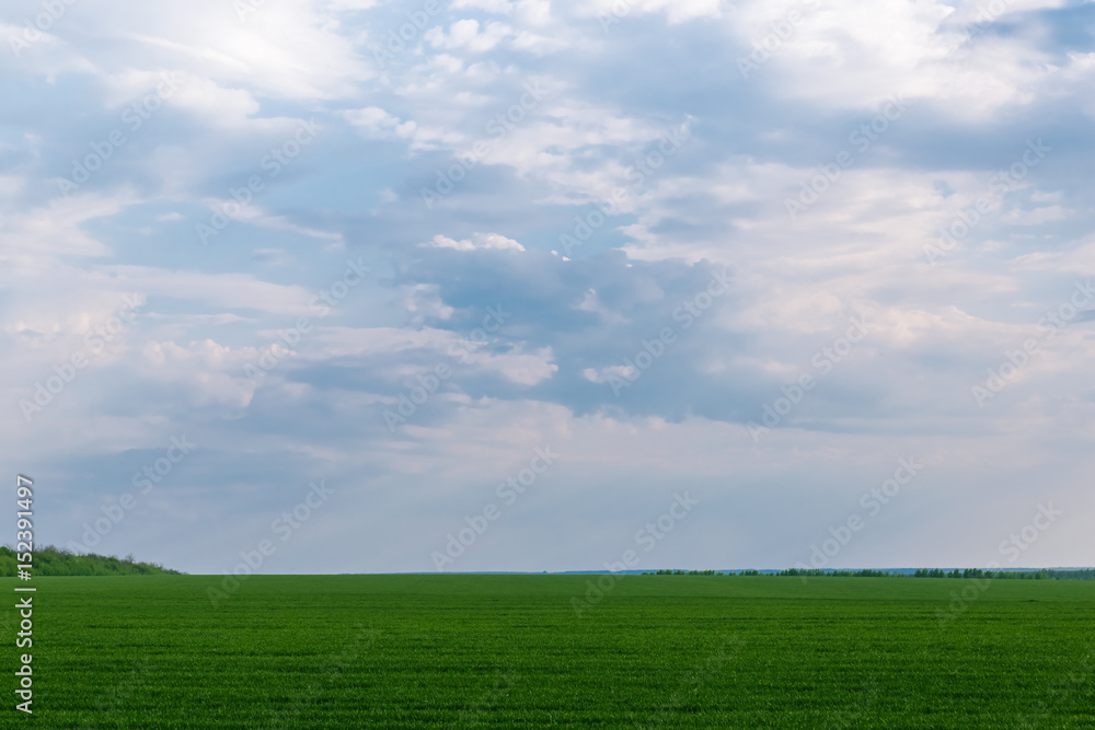 Gloomy spring sky over the green field.