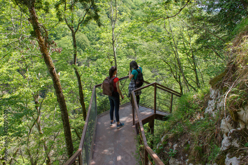 Travelers travel on the artificial roadway In the forest of the mountains reserve. Active hikers