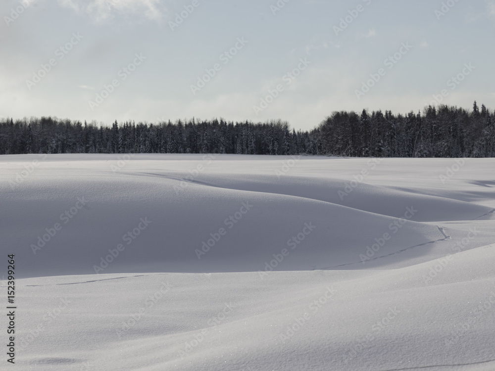 Tranquil scene of drifting snow British Columbia, Canada Tranquil scene of drifting snow British Columbia, Canada