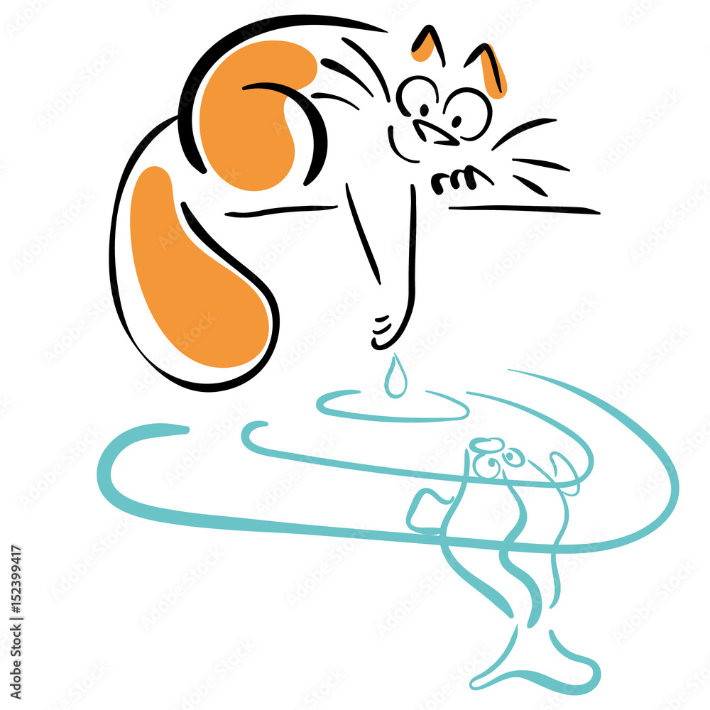 Fototapeta premium Cat and fish