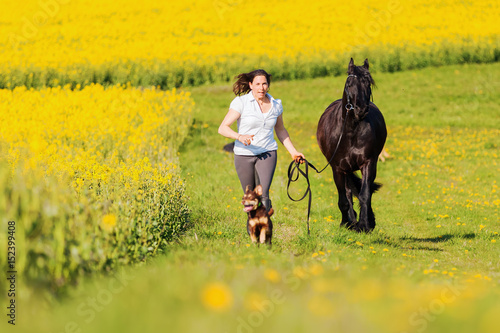 woman with a Friesian horse on a field