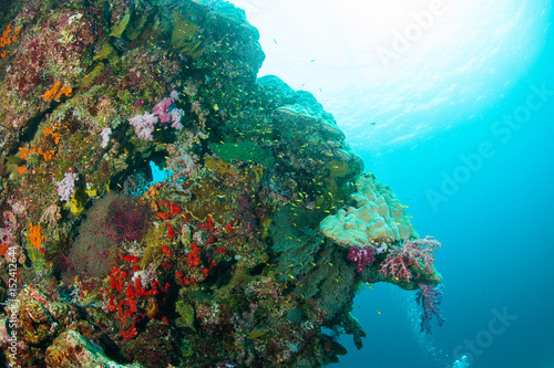 Wonderful and beautiful underwater world with corals, fish and sunlight
