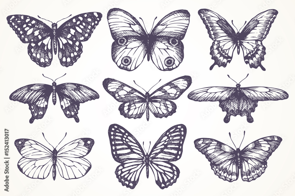 Vector set graphic Vector set graphic