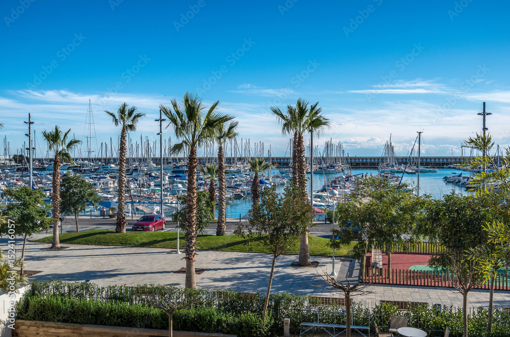 Obraz premium Sunny day in the harbor