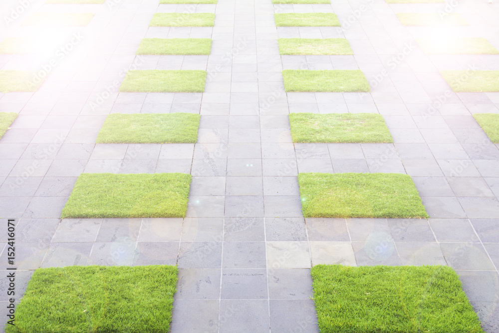 Grass, sidewalk, walkway decorated with grass.