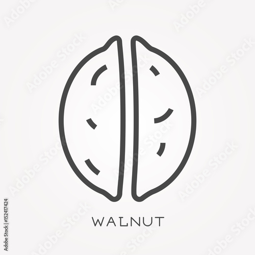 Line icon walnut