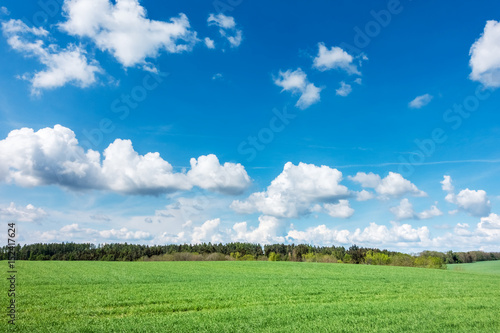 Spring landscape with green meadow, forest and blue sky