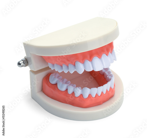 Dental Teeth Open