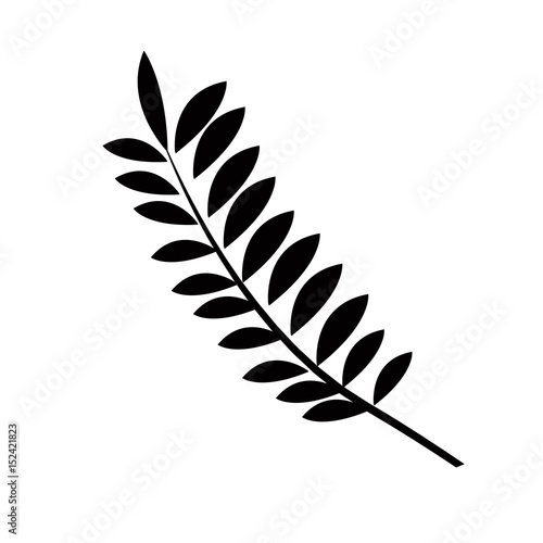 pictogram branch plant natural design vector illustration