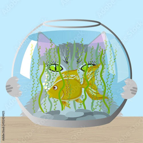 Cat and aquarium