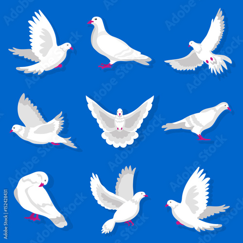 White cartoon pigeon with red beak and paws illustrations set