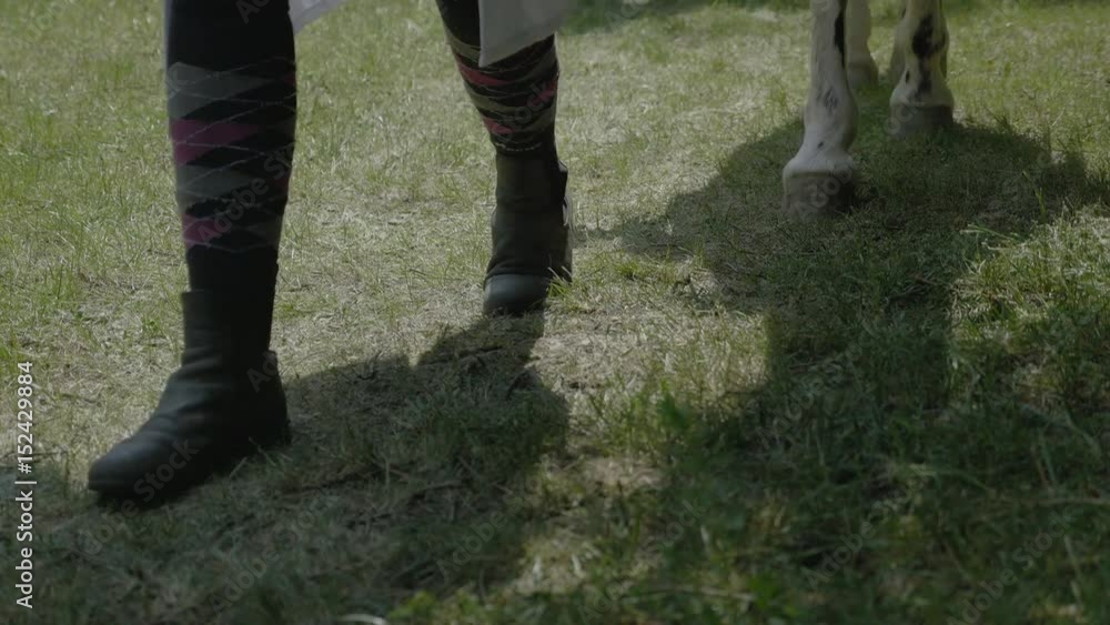 Detail of passing horsehook. Horse driven by jockey. Grassland and shadows from the sun. Static day stabilized v-log shot. Detail of passing horsehook. Horse driven by jockey. Grassland and shadows from the sun. Static day stabilized v-log shot.